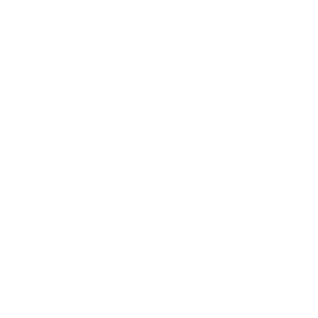CloseIcon